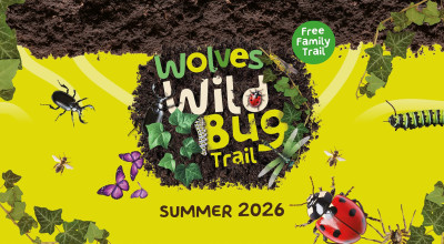 Wild Bug Trail comes to Wolverhampton this summer