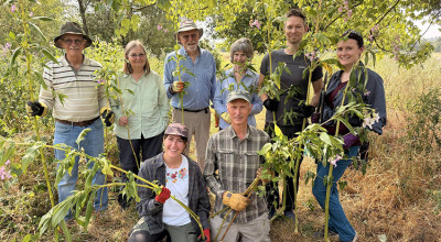Funding boost for Hallow Fields Meadow restoration project