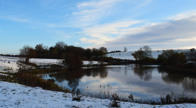 Winter Wonders