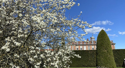 Hanbury Hall goes into full bloom this April