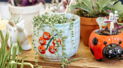 Popular canalside inn to host makers markets for first time