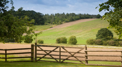 Forestry England to plant largest new woodland in over 20 years in Staffordshire