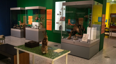 467-million-year-old meteorite is among 250 natural wonders at the Herbert