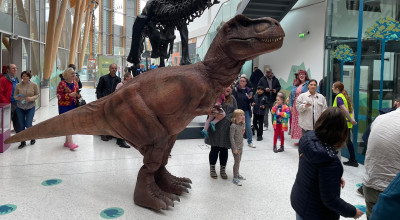 Dinosaurs to roam Herbert Art Gallery & Museum this weekend