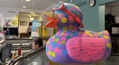Go quackers for The Big Walsall Waddle