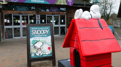 New Snoopy trail to open at Trentham Gardens this spring