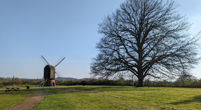 Avoncroft to host Volunteer Open Day