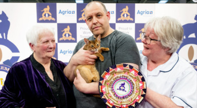 The Supreme Cat Show