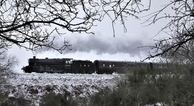 Festive heritage travel on Severn Valley Railway from Boxing Day