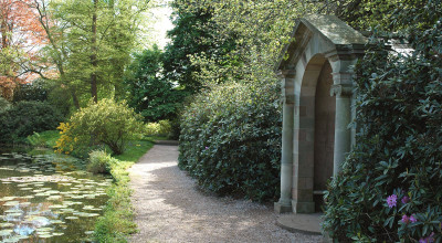 Down the Rabbit Hole Easter Trail