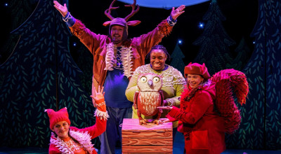 The Owl Who Came for Christmas