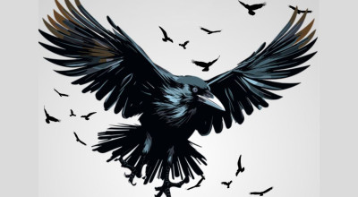 The Birds