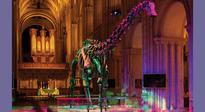 Dippy In Coventry - The Nation’s Favourite Dinosaur