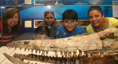 Fossil Fun Weekend 