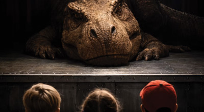 Inside The T Rex 