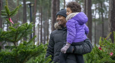 Cannock Chase Forest Christmas Trees return