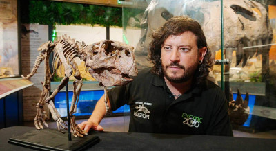 Exotic Zoo to host Telford Fossil Festival this summer