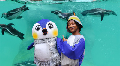 Birmingham Hippodrome’s One Tiny Penguin meets feathered friends