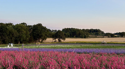 Shropshire’s biggest flower event gets ready to open