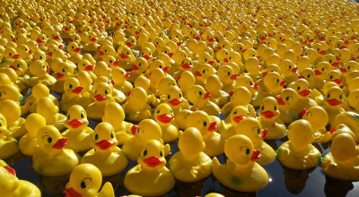 The Black Country Duck Race returns