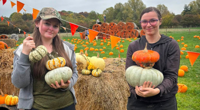 Pumpkin picking returns to Forge Mill Farm this October