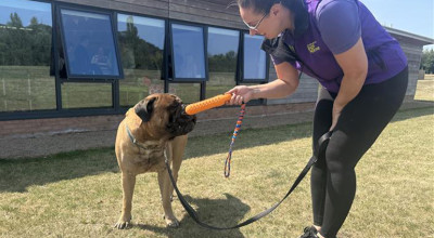 Birmingham Dogs Home receives £5,000 boost from National Pet Awards