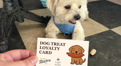 Dog loyalty cards launched at Coventry cafes