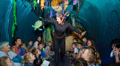 Lichfield Cathedral launches ‘A Whale of a Summer’ programme