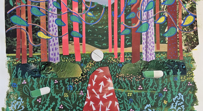Shrewsbury Museum launches new Rooted in Recovery exhibition