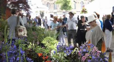 Shrewsbury Flower Show