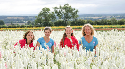 Proms and pop events launch ahead of Shropshire Petal Fields