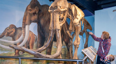 Mammoth discovery anniversary and apple harvest celebrated at Discovery Centre