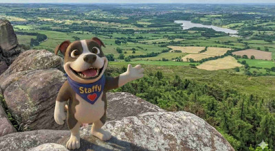 Staffy art trail design competition opens to the public