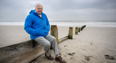 Sir David Attenborough's greatest message brought to life at Symphony Hall