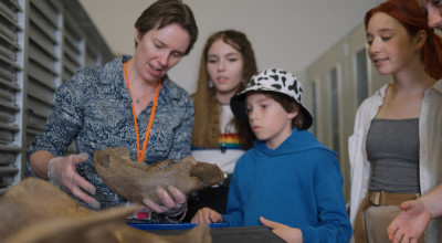 Discover Hidden Treasures in South Shropshire
