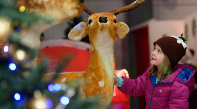 Visit Santa: Vintage Sleigh Ride Experience