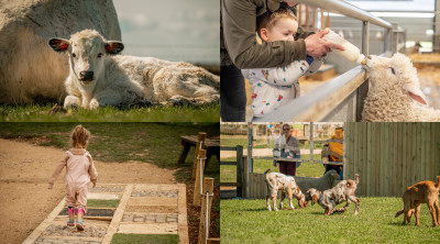 Cotswold Farm Park recognised as one of the world’s leading attractions