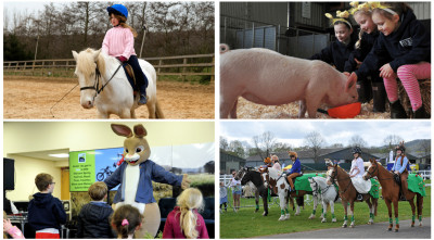 'Hold your Horses' at Countrytastic 2026