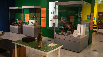 467-million-year-old meteorite is among 250 natural wonders at the Herbert