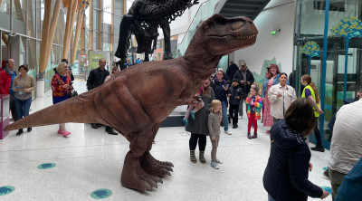 Dinosaurs to roam Herbert Art Gallery & Museum this weekend
