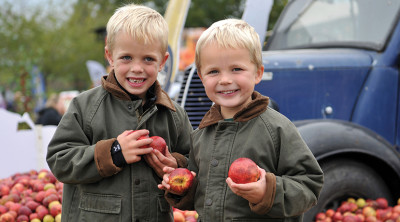 Malvern Autumn Show