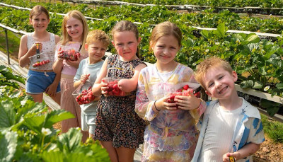 Pick Your Own experience returns this summer