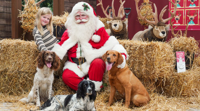 Santa Paws is coming to town at Dobbies’ Gailey