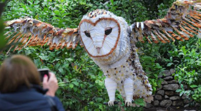 The Magical Owl swoops into Compton Verney