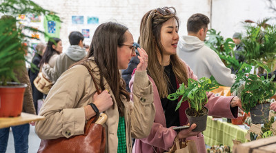 RHS Malvern Spring Festival