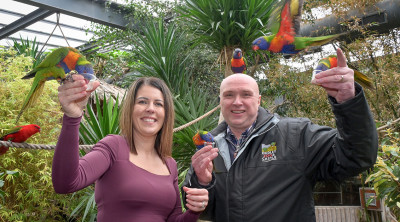 The Festival of Change launches at Dudley Zoo and Castle