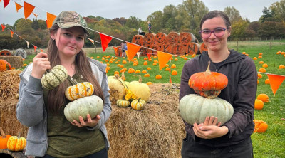 Pumpkin picking returns to Forge Mill Farm this October