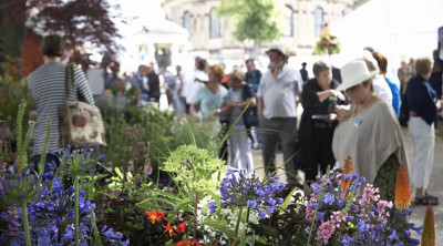 Shrewsbury Flower Show