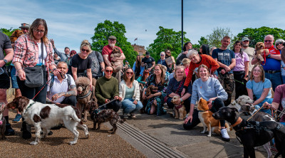 Tamworth's free community dog walk becomes permanent fixture