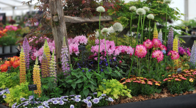 RHS Malvern Spring Festival